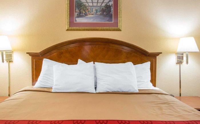 Econo Lodge  Inn & Suites Macon West