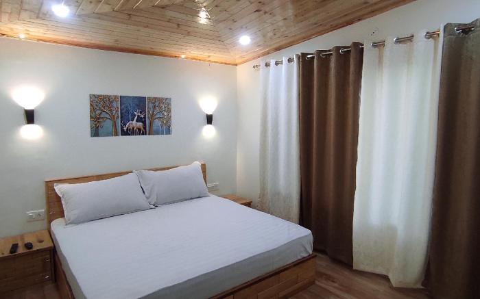 HEAD N TAIL  KASAULI