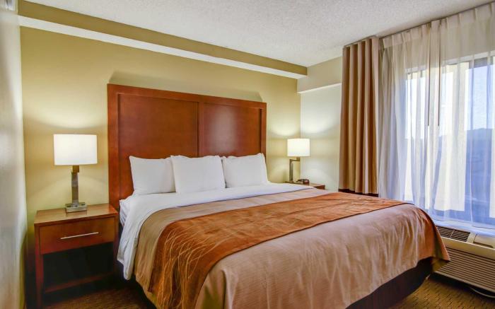 Comfort Inn Kennesaw