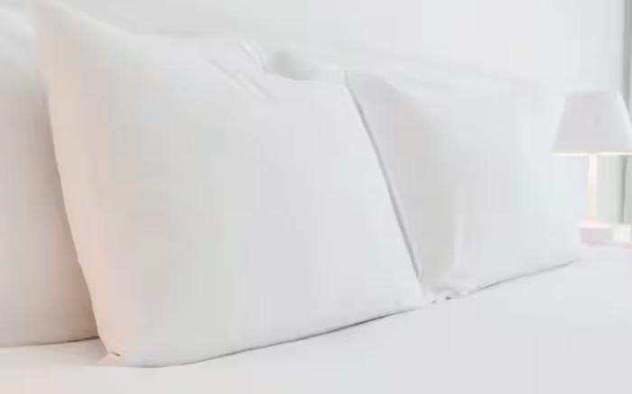 Wingate by Wyndham Macon West I-475