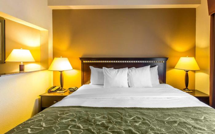 Comfort Suites Forsyth near I-75
