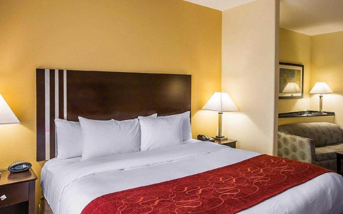 Comfort Suites Simpsonville - Greenville