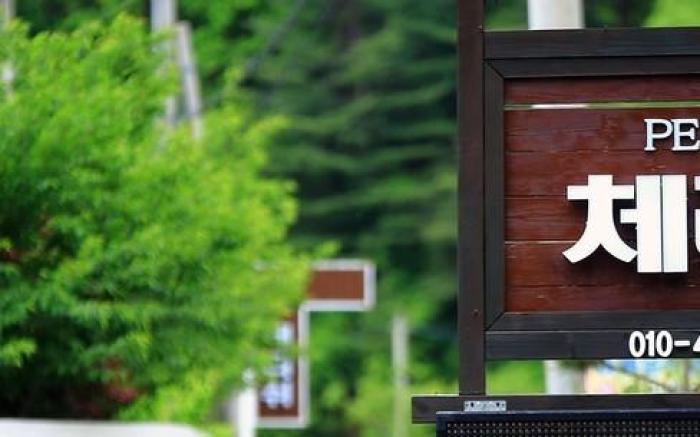 Cherrish Pet-Friendly Pension