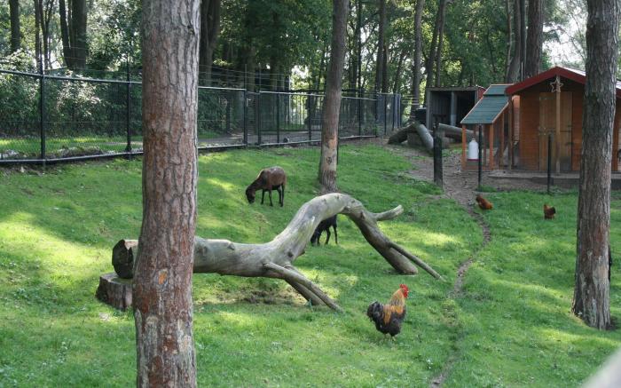 Well furnished chalet near Brunssummerheide