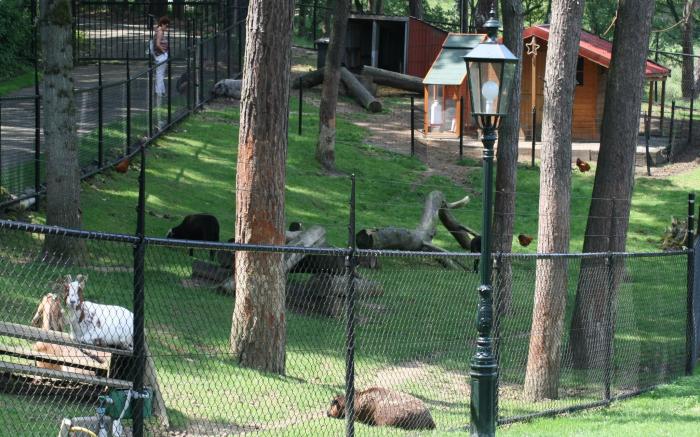 Well furnished chalet near Brunssummerheide