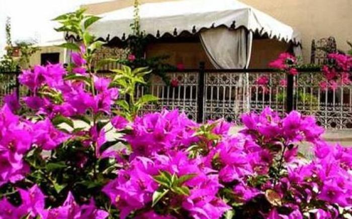 Riad Du Petit Prince