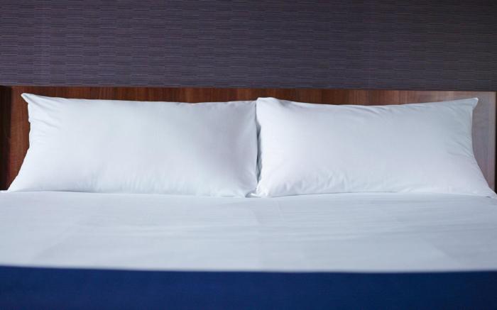 Holiday Inn Express London Heathrow T5 By IHG