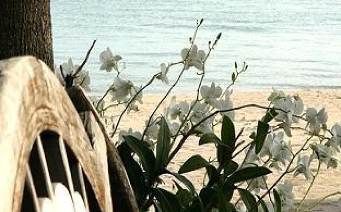 Rung Arun Resort