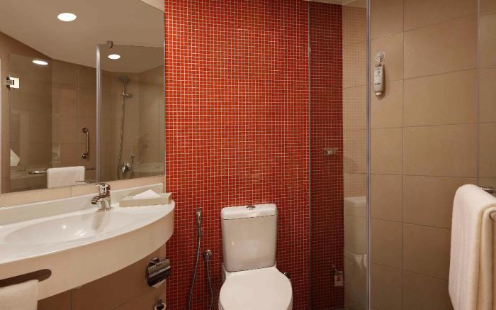 ibis Pune Hinjewadi