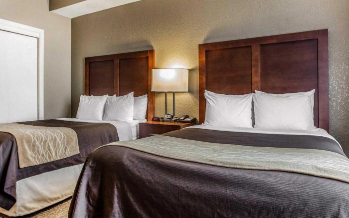 Comfort Inn & Suites