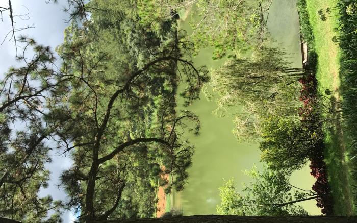 Secret Garden Villa Dalat