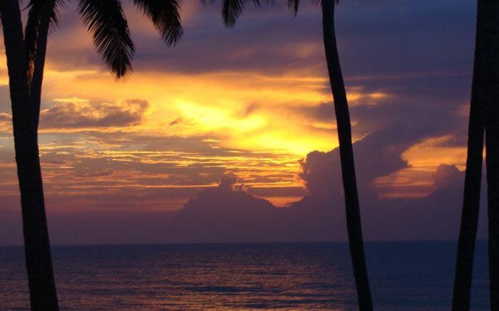 Clove Beach Wadduwa
