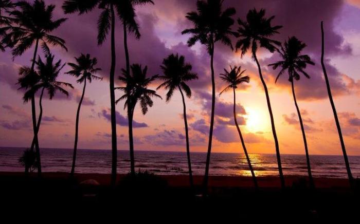 Clove Beach Wadduwa