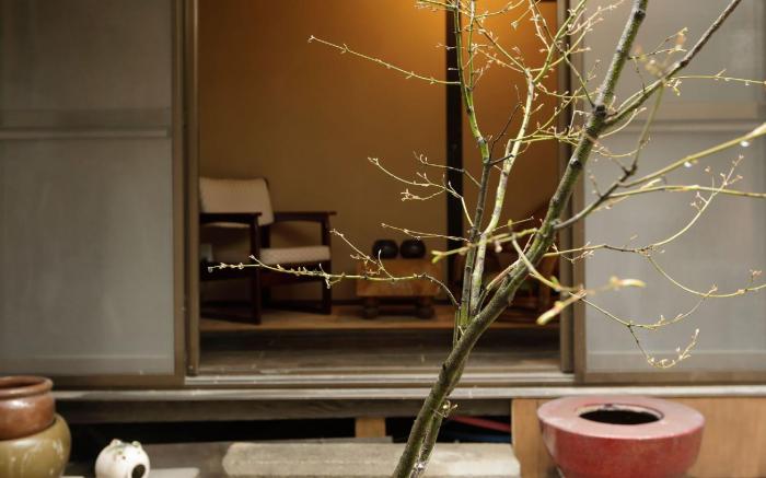 Guesthouse & Salon Tsukito