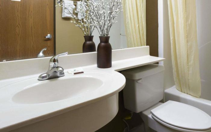Microtel Inn & Suites by Wyndham Lithonia/Stone Mountain
