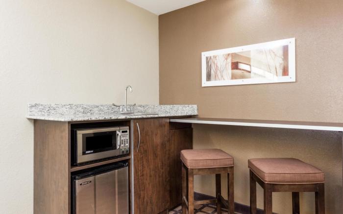 Microtel Inn & Suites by Wyndham Macon