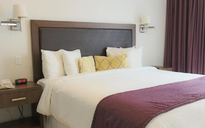 Collins Hotel