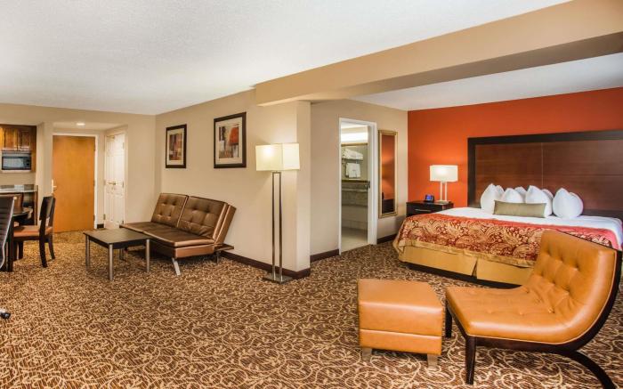 Wingate by Wyndham Atlanta Galleria Center