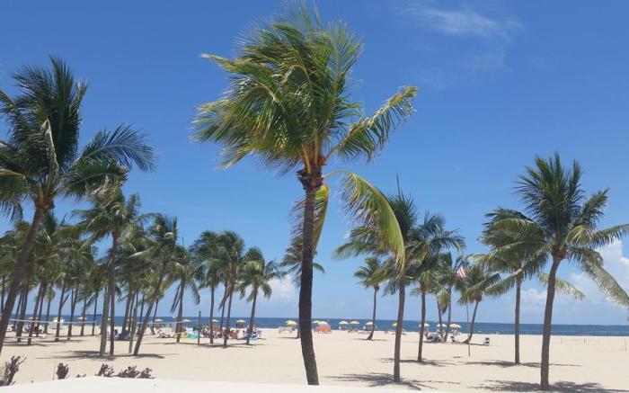Sea Beach Plaza