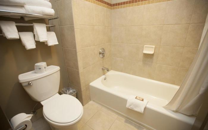 Great Wolf Lodge - Grapevine Tx