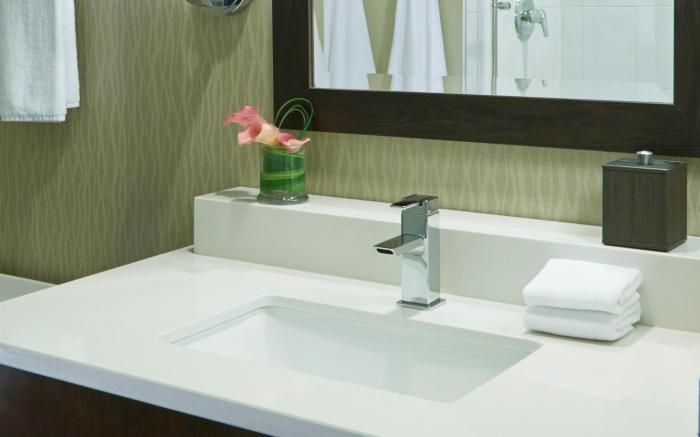 Hyatt Regency Atlanta Perimeter Villa Christina