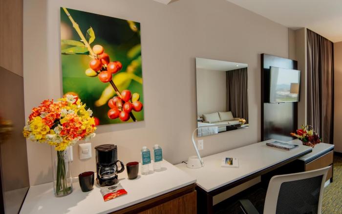 Hilton Garden Inn Puebla Angelópolis