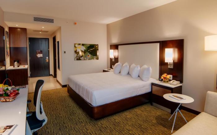 Hilton Garden Inn Puebla Angelópolis