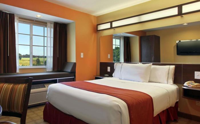 Microtel Inn & Suites by Wyndham Anderson/Clemson