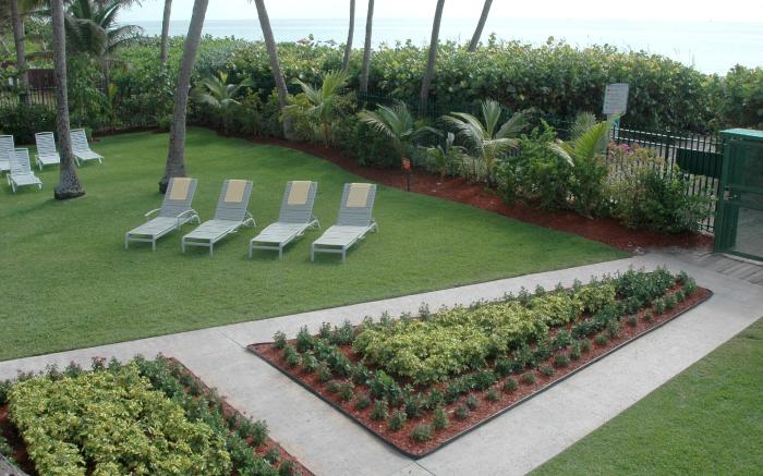 The Alexander Ocean Front Resort