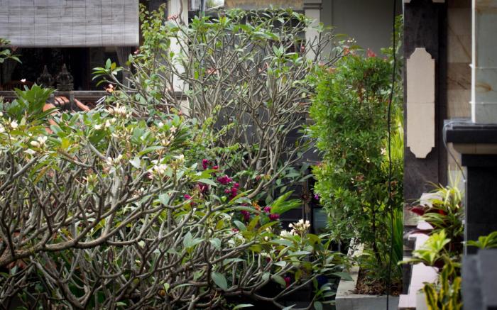 Mira Family Homestay