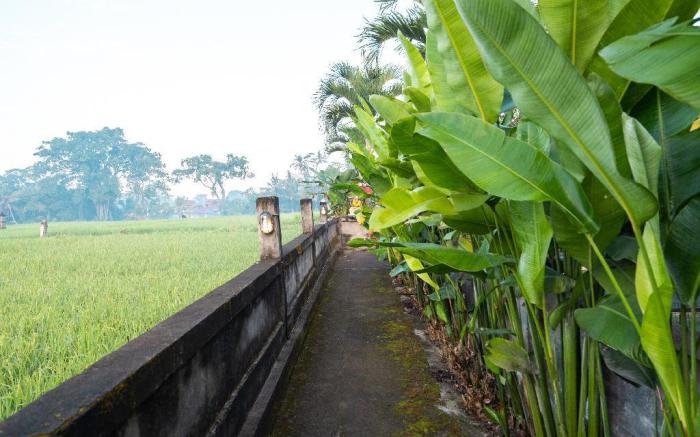 Two Bedroom Private Pool Villa with Ricefield View