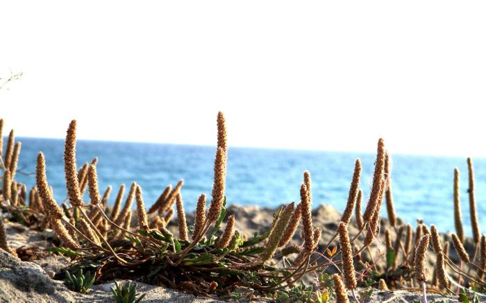 on the Sea Luxury Suite San Foca