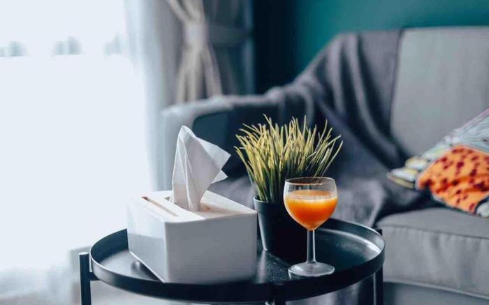 SANITIZED Premium Junior Suite | WiFi & Netflix