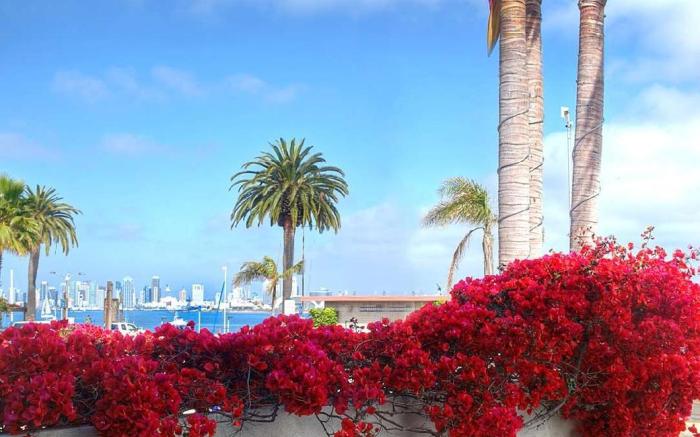 Bay Club Hotel and Marina