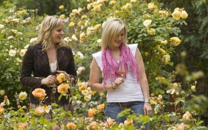 Lyndoch Hill