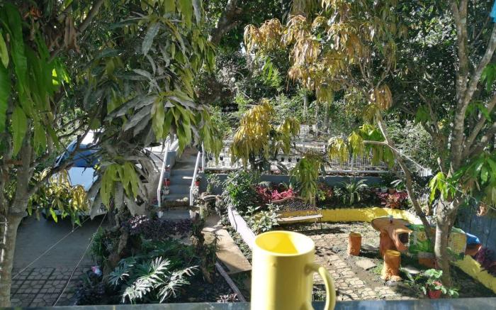 Purple Orchid Bed and Breakfast