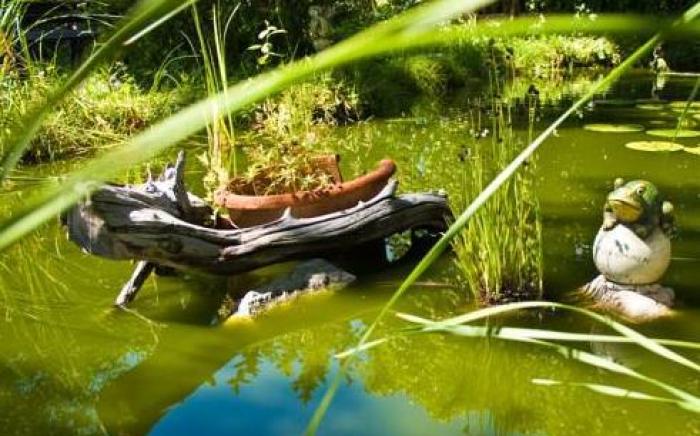 Seelos - Alpine Easy Stay - Bed & Breakfast