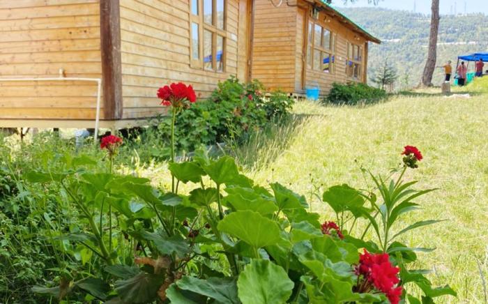 Golden Valley Cottages