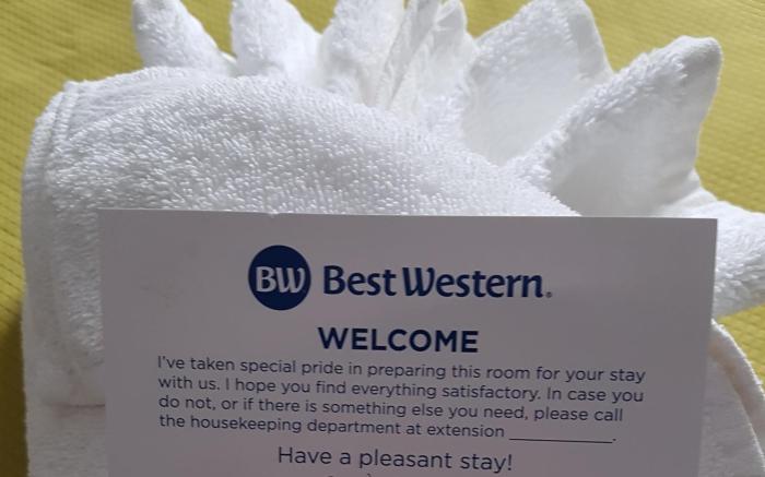 Best Western Plus Durham Hotel and Conference Centre