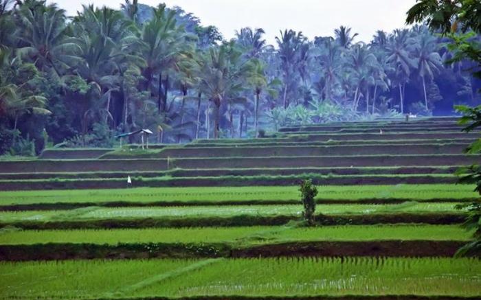 Villa Junjungan Resort Pool & Spa