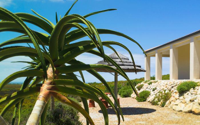 Kapensis Guesthouse