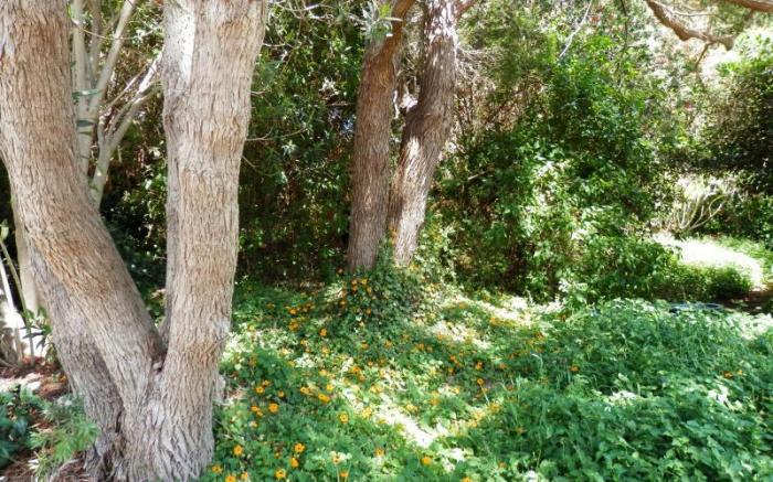 The Hideaway B&B Retreat