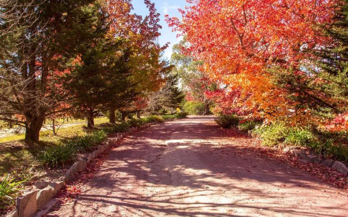 Happy Valley Retreat