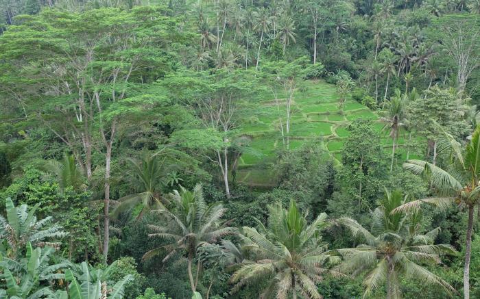 Tirta Asri Ubud Villa