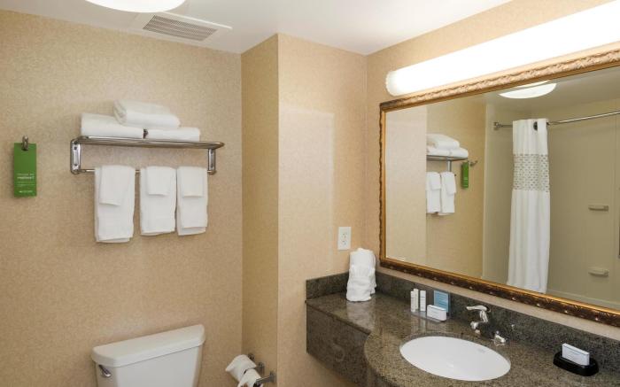 Hampton Inn Lawrenceville Duluth