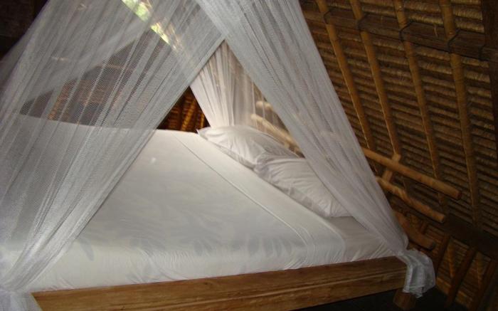 Flower Bud Bungalow