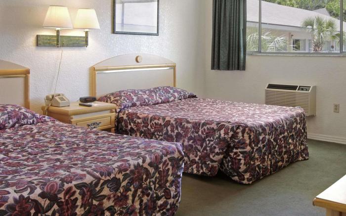 Gainesville University