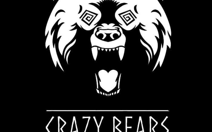 Crazy Bears Hostel