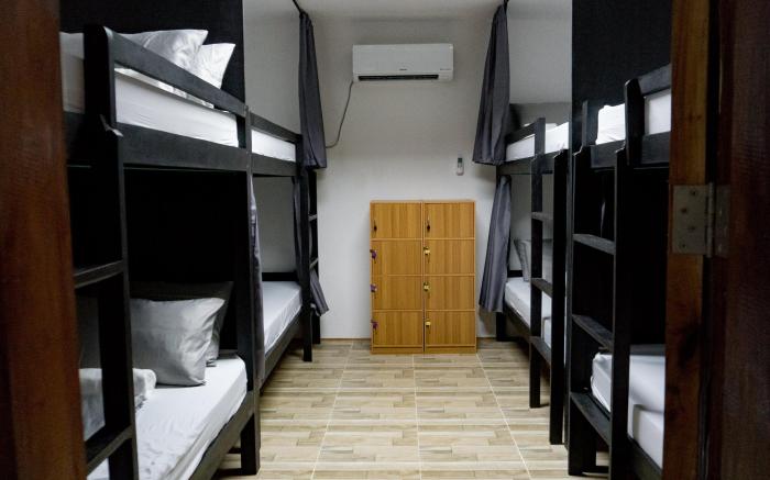 Crazy Bears Hostel
