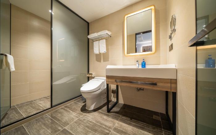 Hanting Premium Hotel Shanghai Qibao Jiuting